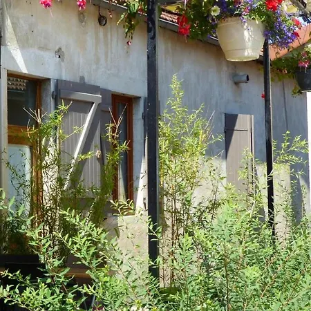 Maison De Moderne Avec Privatif Et Jardin A - Fr-1-489-482 * Chantelle